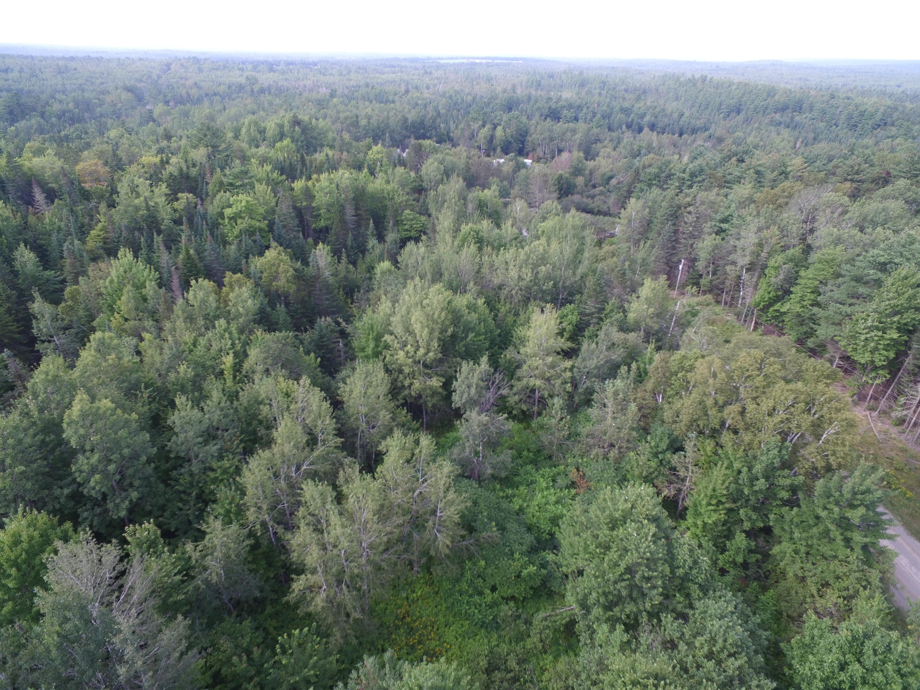 2 Pickle Ridge Road Springfield, ME 04487 - Photo 7 of 9 DJI_0037