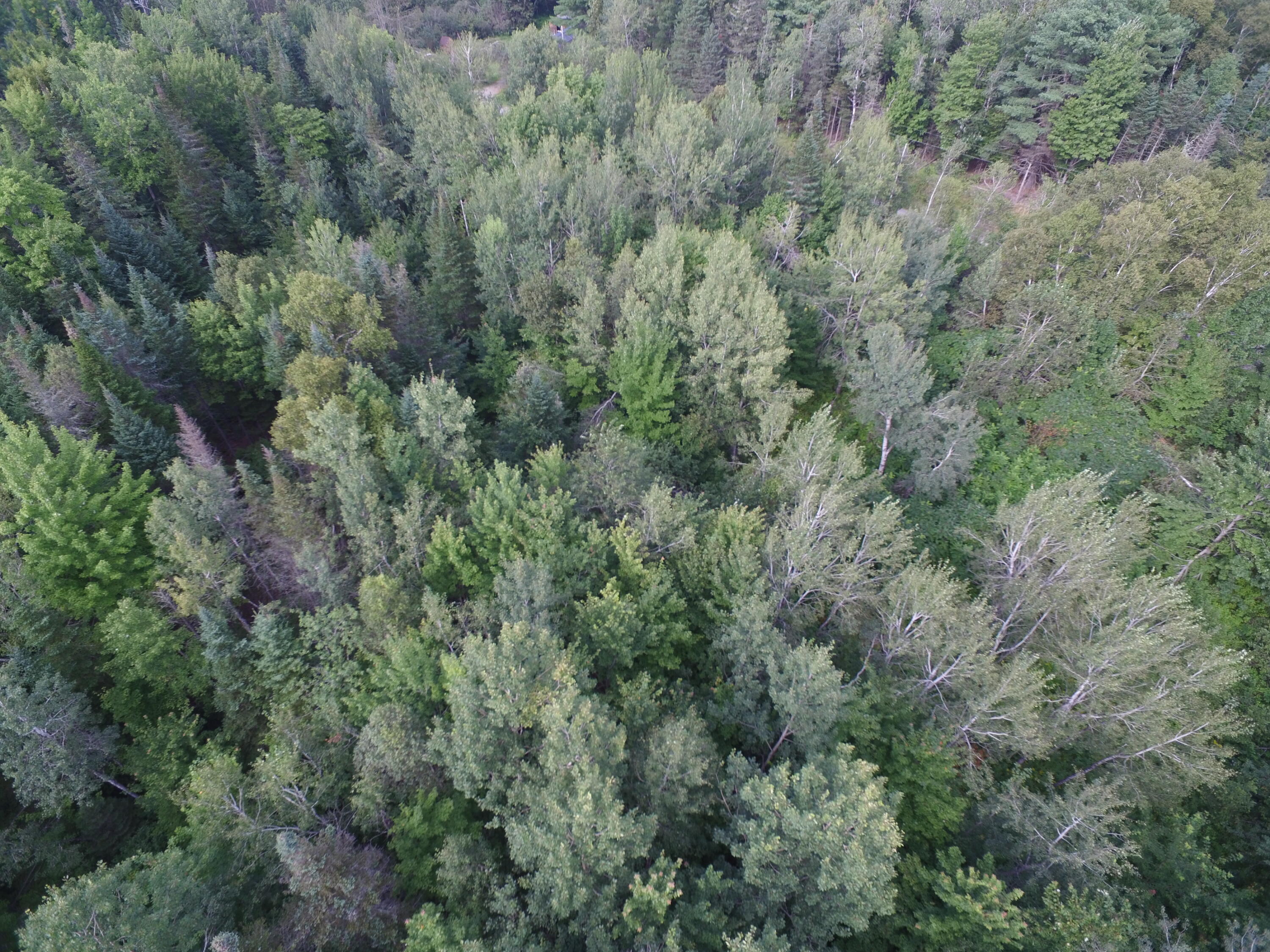 2 Pickle Ridge Road Springfield, ME 04487 - Photo 8 of 9 DJI_0038