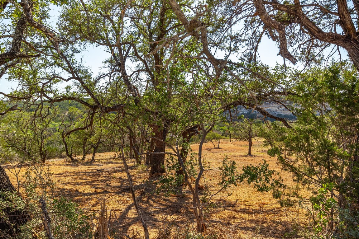 Lot 20 Seven Spring Dr Junction, Unit LOT 20 Junction, TX 76849 - Photo 12 of 40