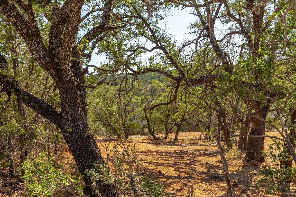 Lot 20 Seven Spring Dr Junction, Unit LOT 20 Junction, TX 76849 - Photo 13 of 40