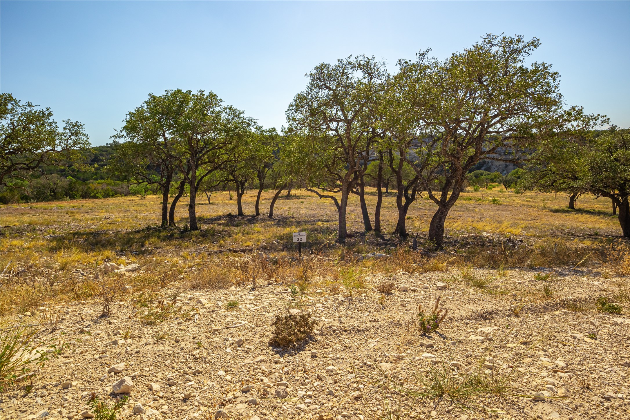 Lot 20 Seven Spring Dr Junction, Unit LOT 20 Junction, TX 76849 - Photo 14 of 40 a view of a yard with a tree
