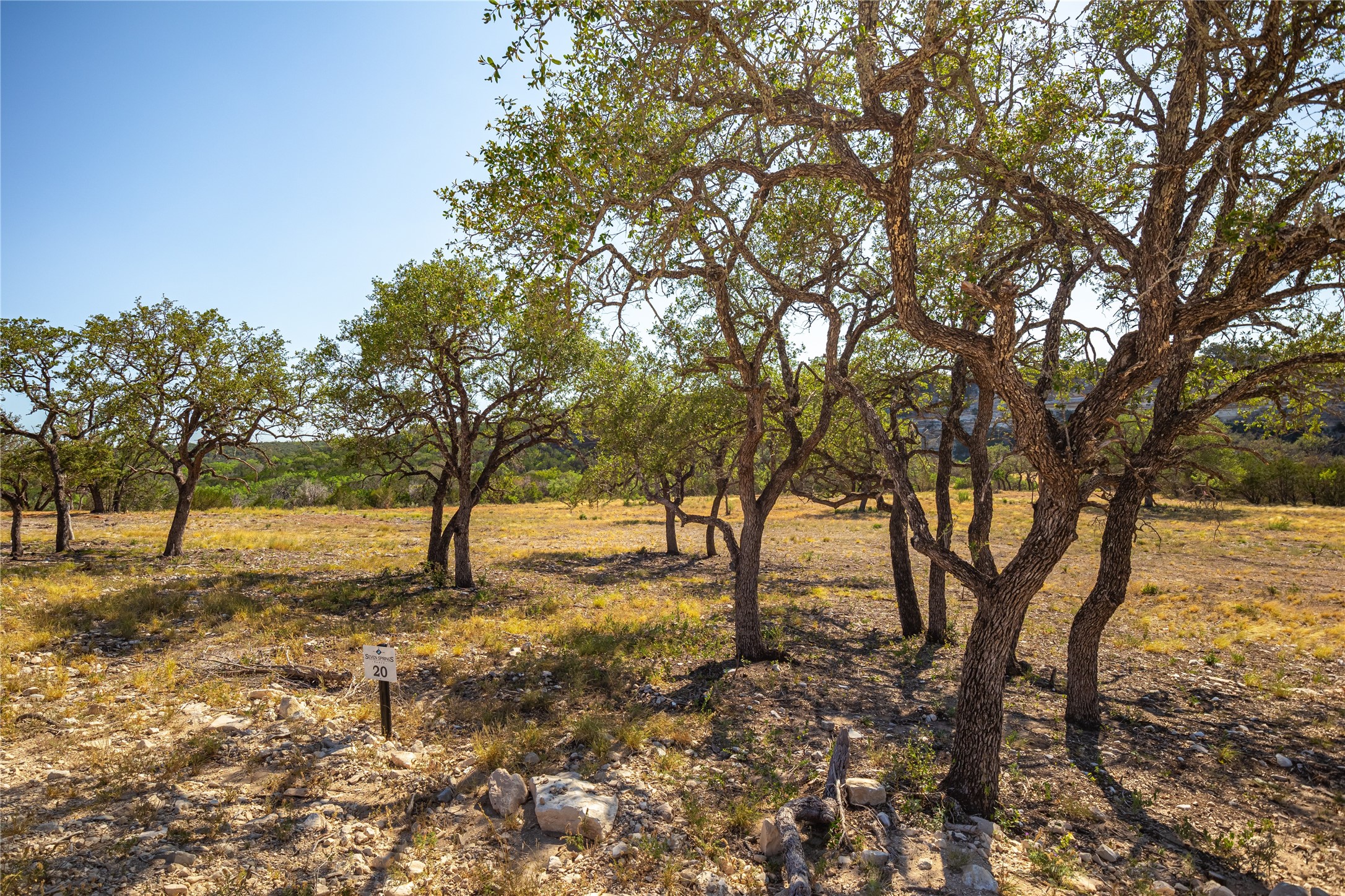 Lot 20 Seven Spring Dr Junction, Unit LOT 20 Junction, TX 76849 - Photo 17 of 40 a view of a yard with trees