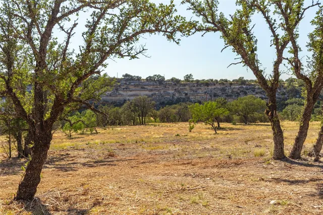 a view of yard with trees