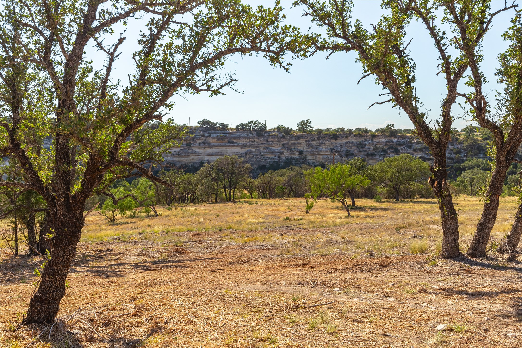 Lot 20 Seven Spring Dr Junction, Unit LOT 20 Junction, TX 76849 - Photo 18 of 40 a view of ocean view with large trees