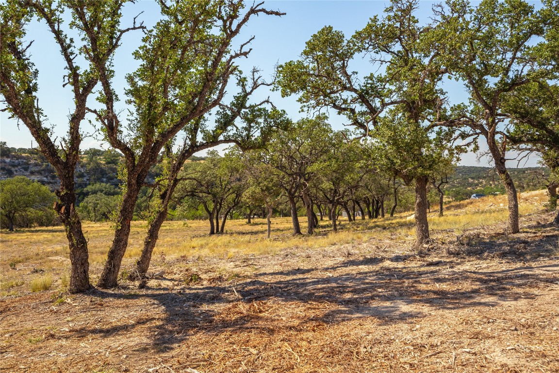 Lot 20 Seven Spring Dr Junction, Unit LOT 20 Junction, TX 76849 - Photo 19 of 40