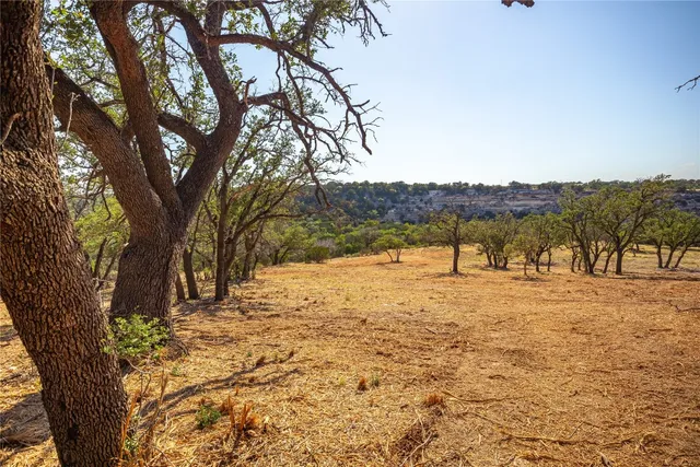 a view of a yard with a tree