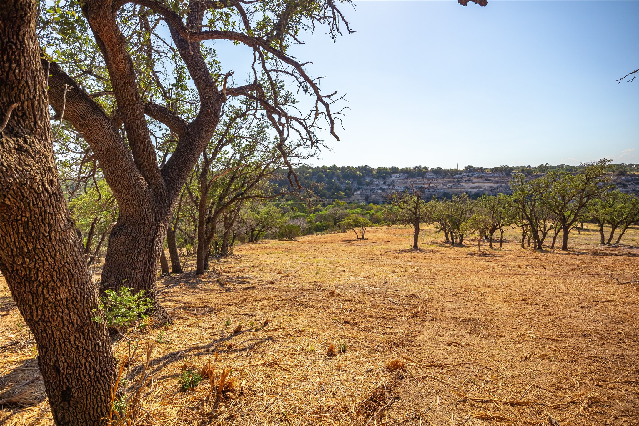 Lot 20 Seven Spring Dr Junction, Unit LOT 20 Junction, TX 76849 - Photo 21 of 40 a view of an outdoor space with yard