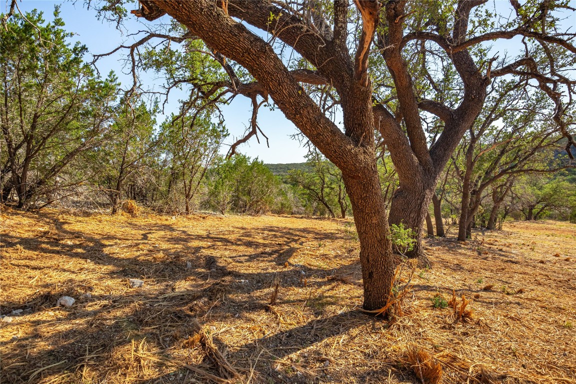 Lot 20 Seven Spring Dr Junction, Unit LOT 20 Junction, TX 76849 - Photo 22 of 40