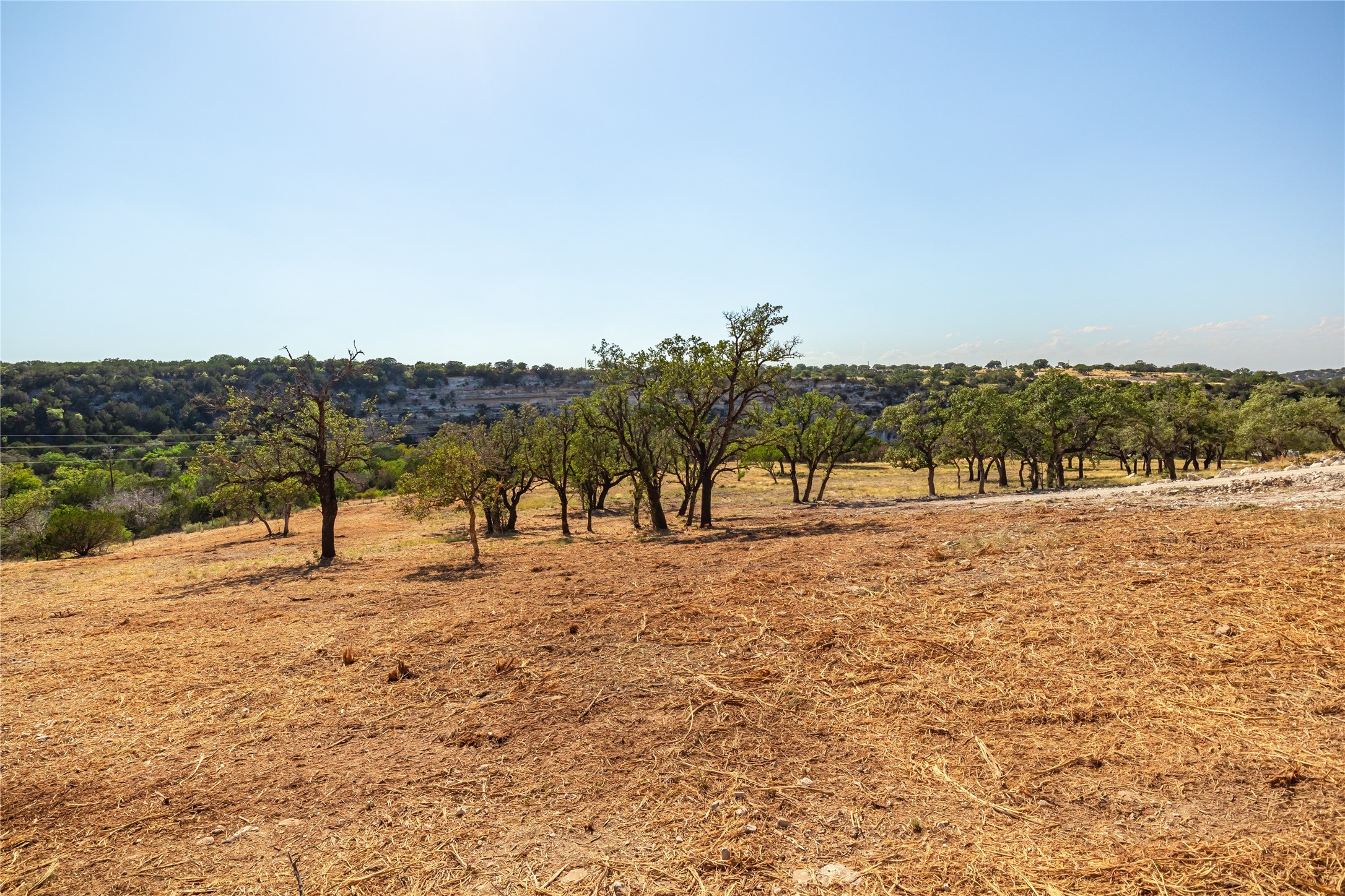 Lot 20 Seven Spring Dr Junction, Unit LOT 20 Junction, TX 76849 - Photo 24 of 40 a view of a yard with a large trees