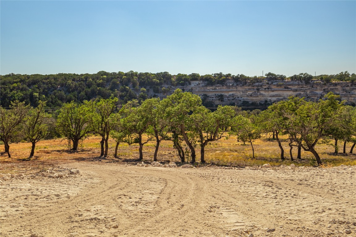 Lot 20 Seven Spring Dr Junction, Unit LOT 20 Junction, TX 76849 - Photo 6 of 40