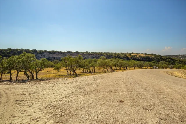 a view of a yard with a tree