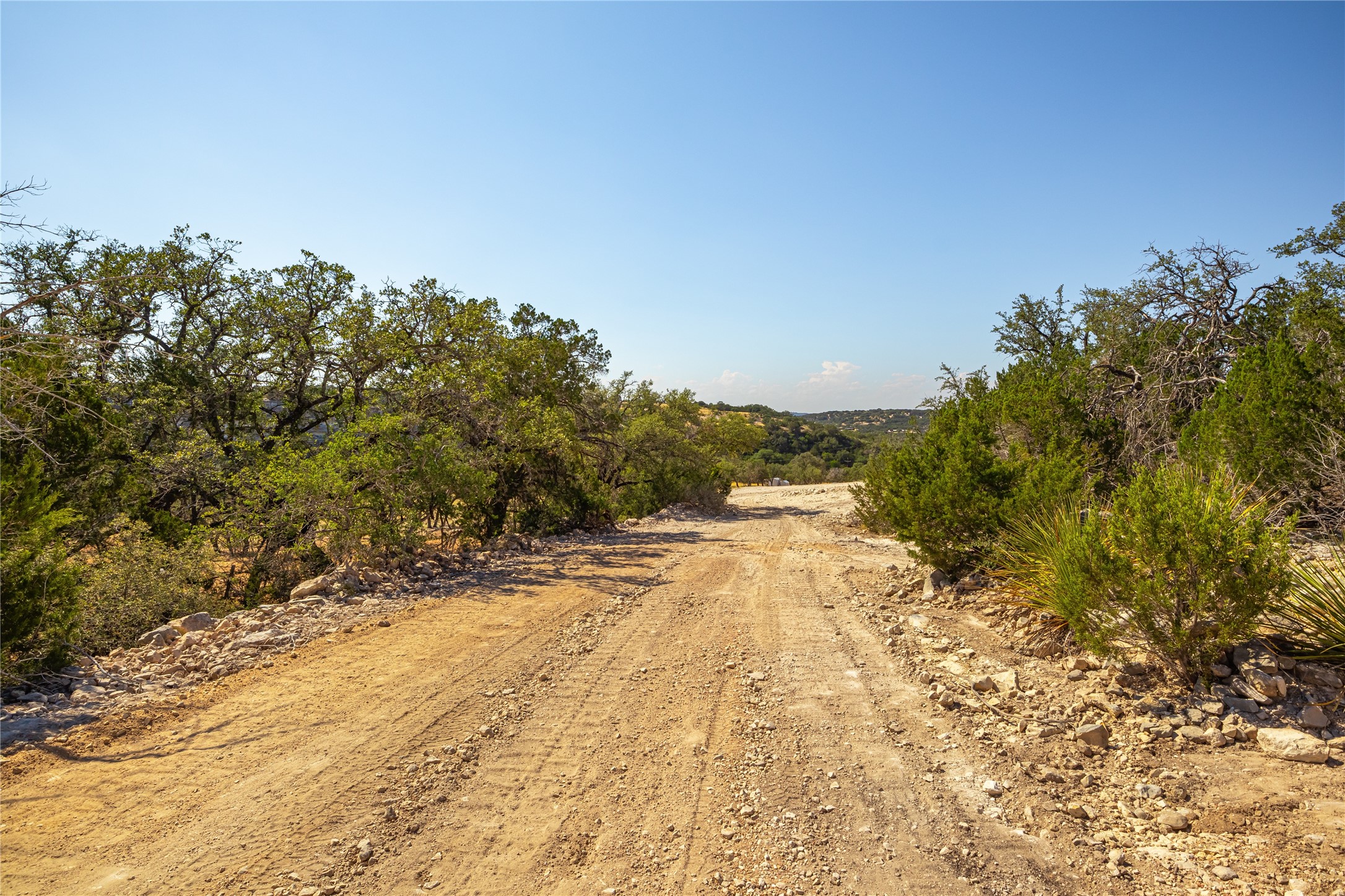Lot 20 Seven Spring Dr Junction, Unit LOT 20 Junction, TX 76849 - Photo 10 of 40 a view of a yard with a tree