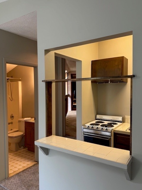5044 Butler Road Canandaigua Town, NY 14424 - Photo 33 of 45 The studio apartment kitchen and full bath