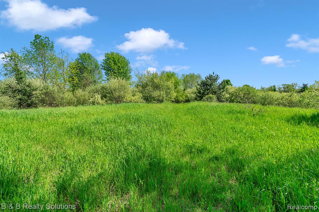 2864 North Blacks Corners Road Imlay City, MI 48444 - Photo 51 of 60 Gallery Image 51
