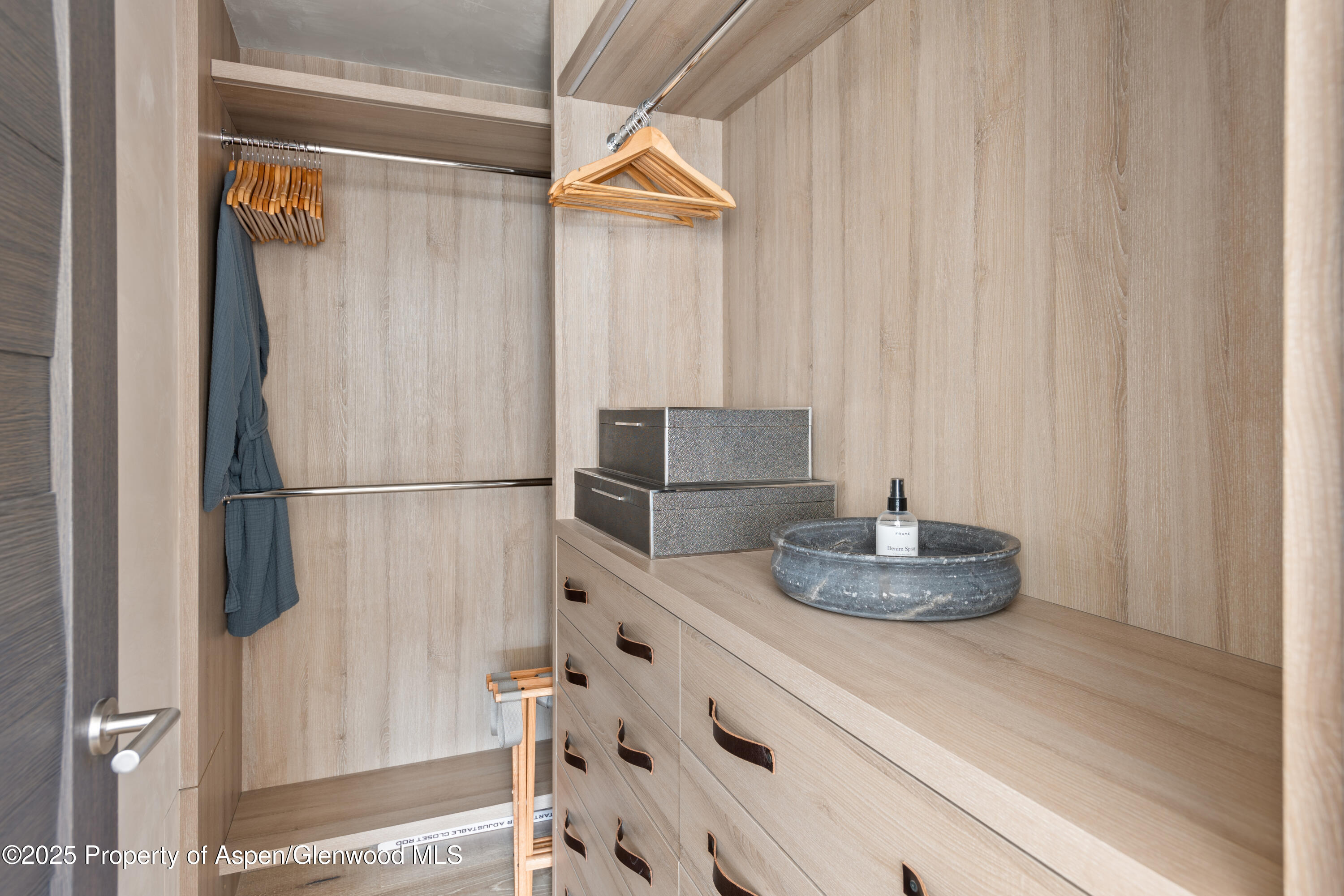 124 East Durant Avenue, Unit 7 Aspen, CO 81611 - Photo 13 of 19 Primary bedroomcloset