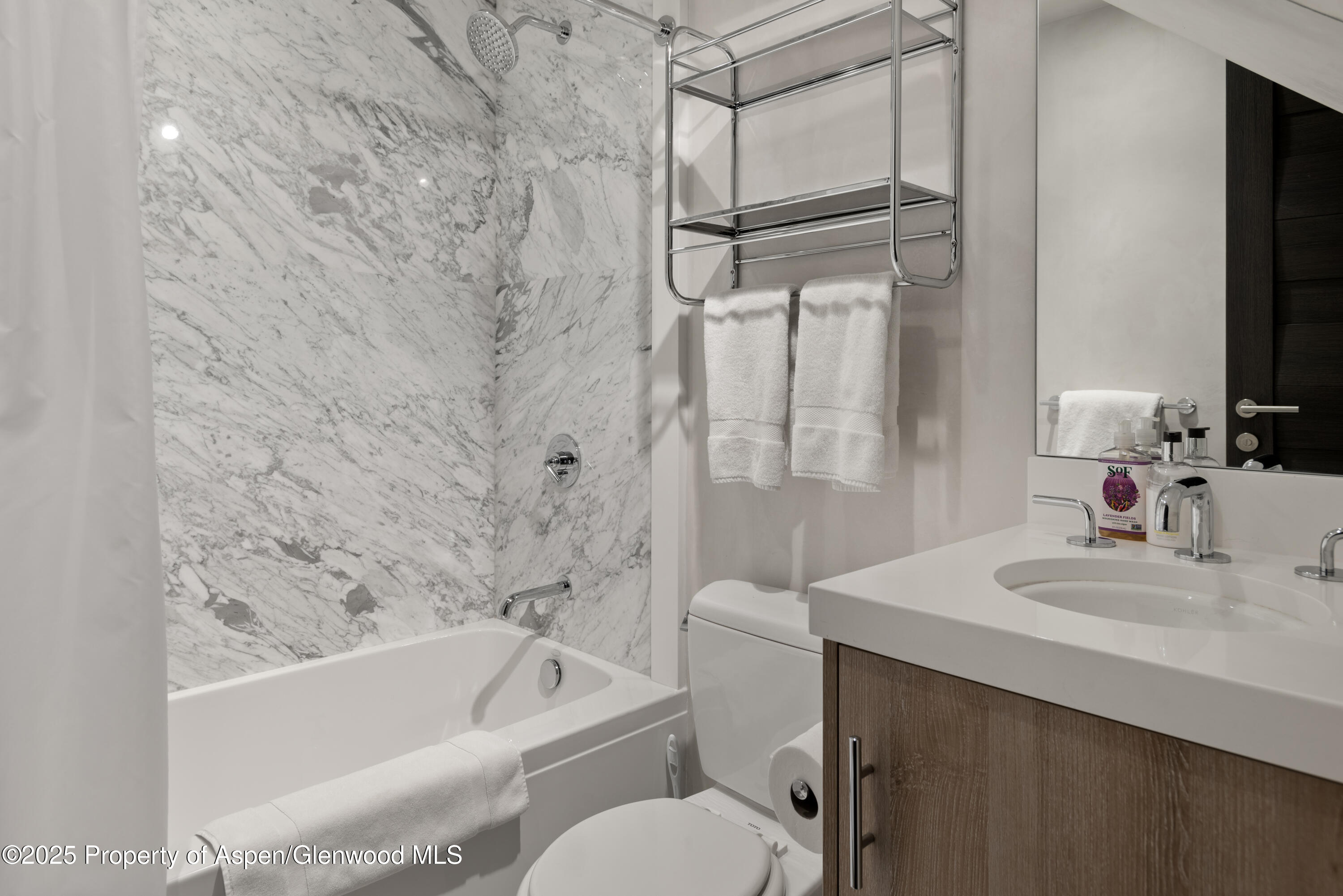 124 East Durant Avenue, Unit 7 Aspen, CO 81611 - Photo 15 of 19 Guest bathroom