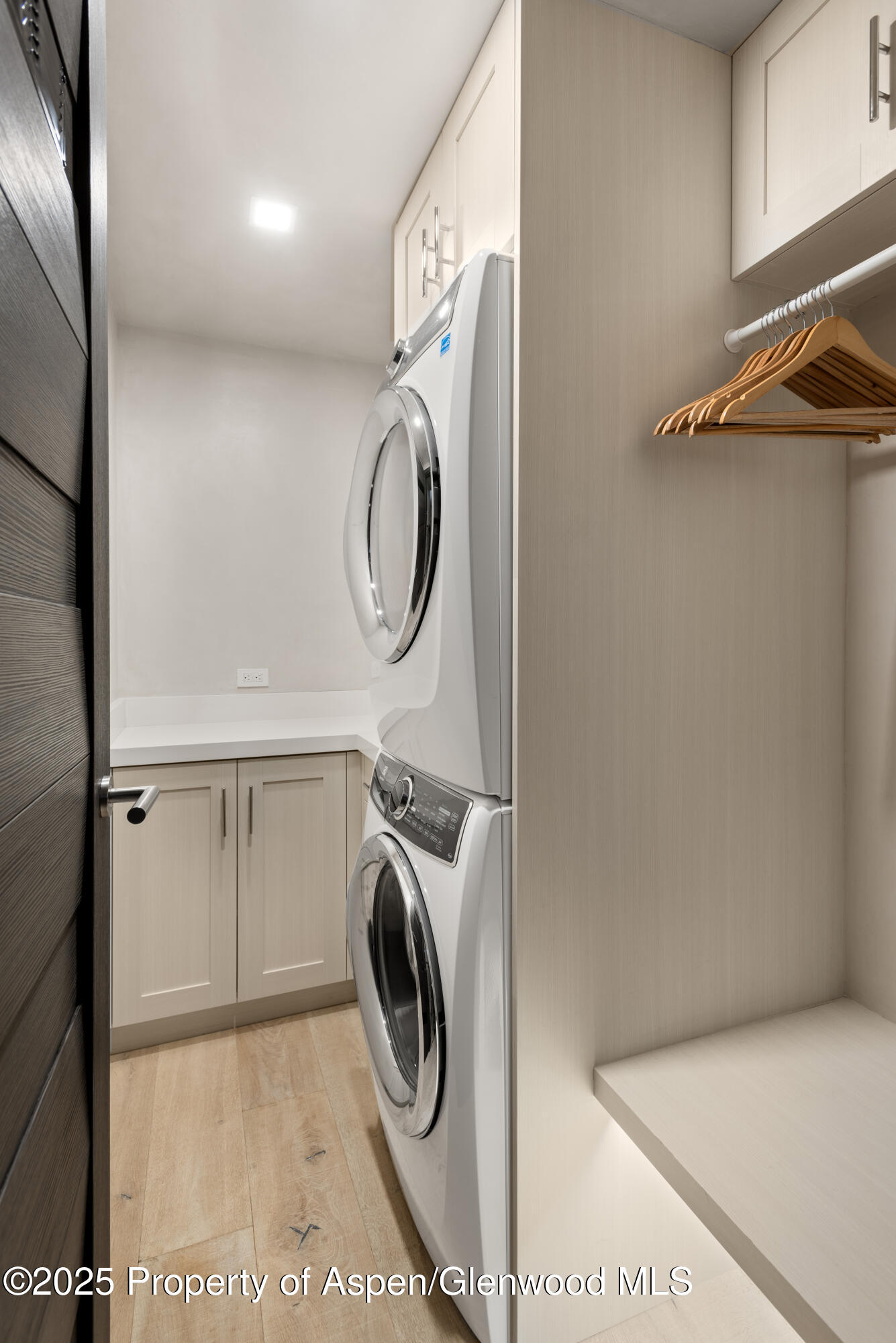 124 East Durant Avenue, Unit 7 Aspen, CO 81611 - Photo 16 of 19 Laundry Room