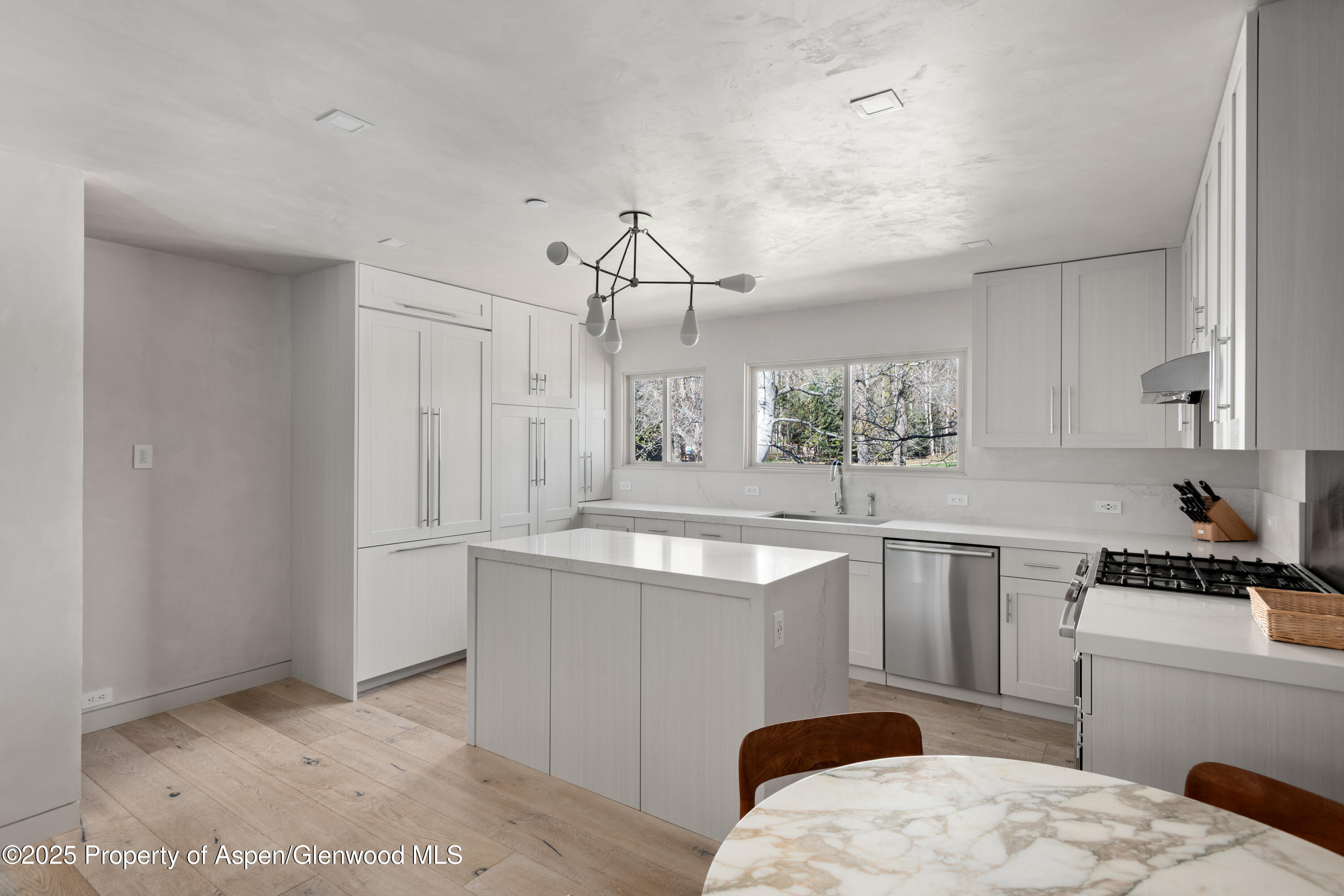 124 East Durant Avenue, Unit 7 Aspen, CO 81611 - Photo 4 of 19 Kitchen 3