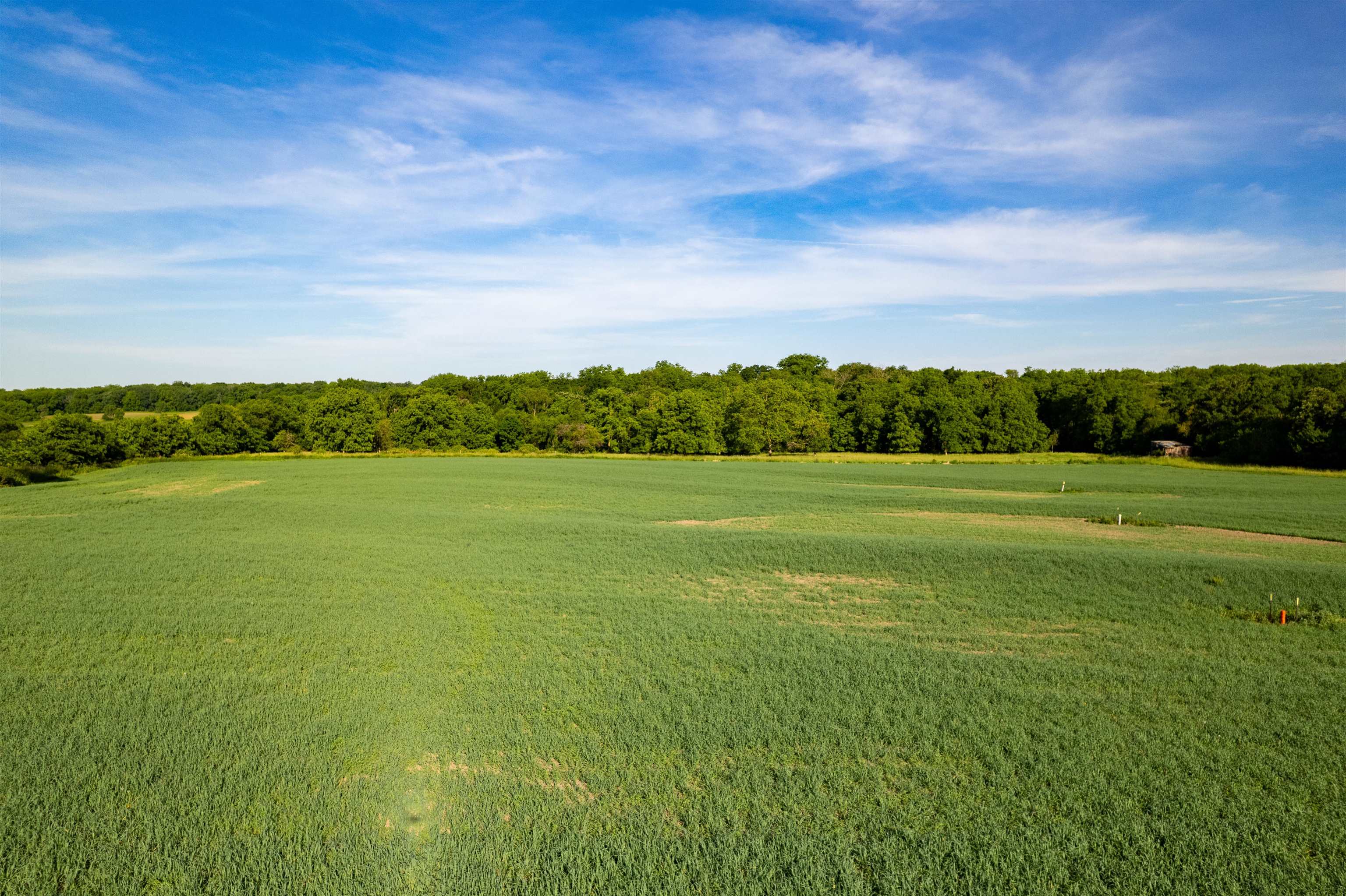 0 South Stone Hill Road Chana, IL 61015 - Photo 15 of 37