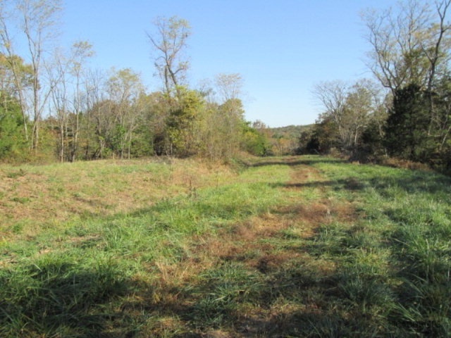 Tbd Tbd Lost Horizons Road Tebbetts, MO 65080 - Photo 5 of 7