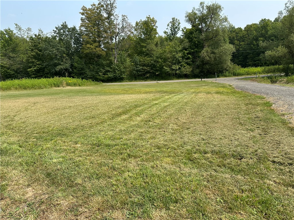 177 Clendenning Road Colesville, NY 13787 - Photo 11 of 13