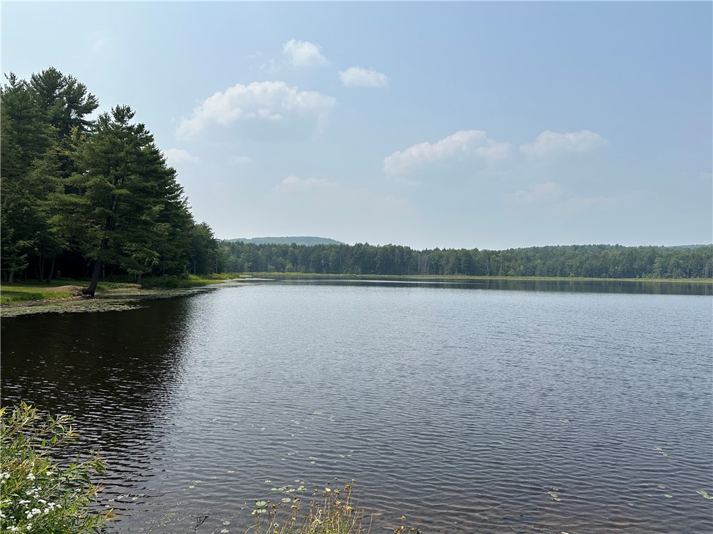 177 Clendenning Road Colesville, NY 13787 - Photo 8 of 13