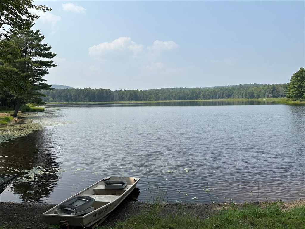 177 Clendenning Road Colesville, NY 13787 - Photo 9 of 13