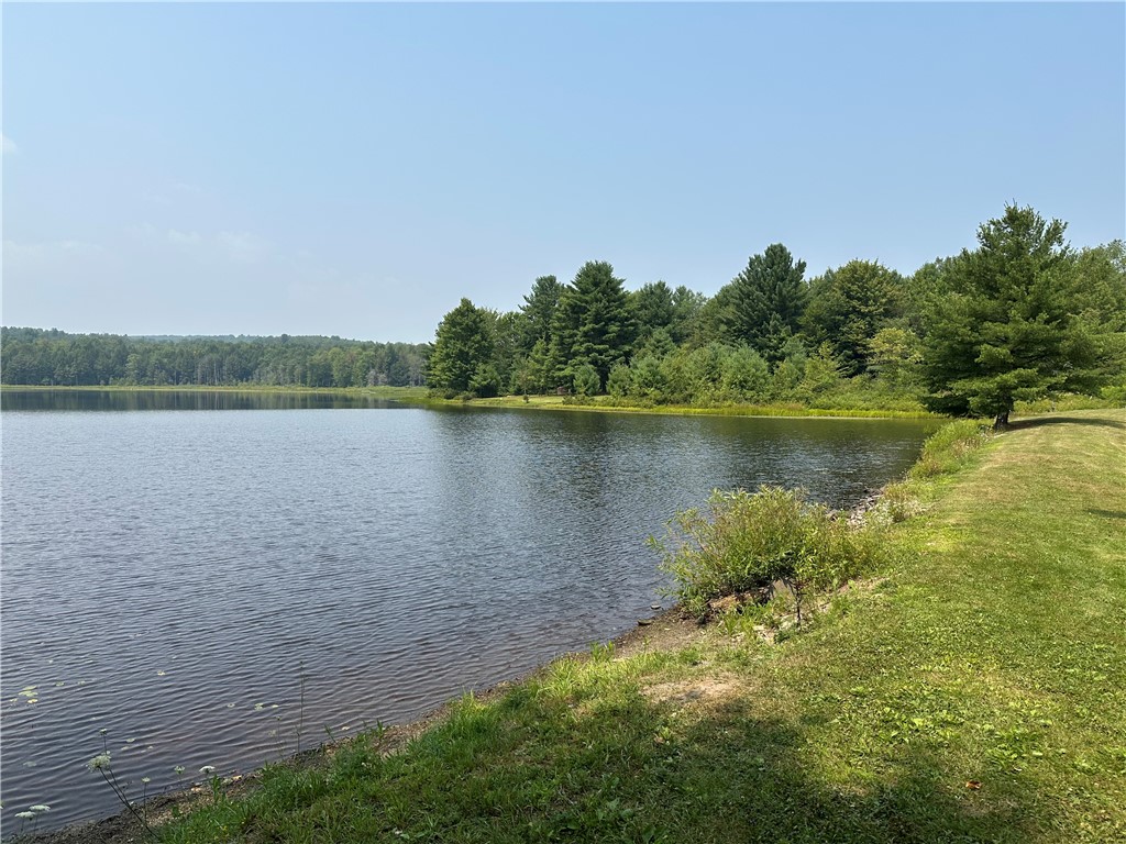 177 Clendenning Road Colesville, NY 13787 - Photo 10 of 13