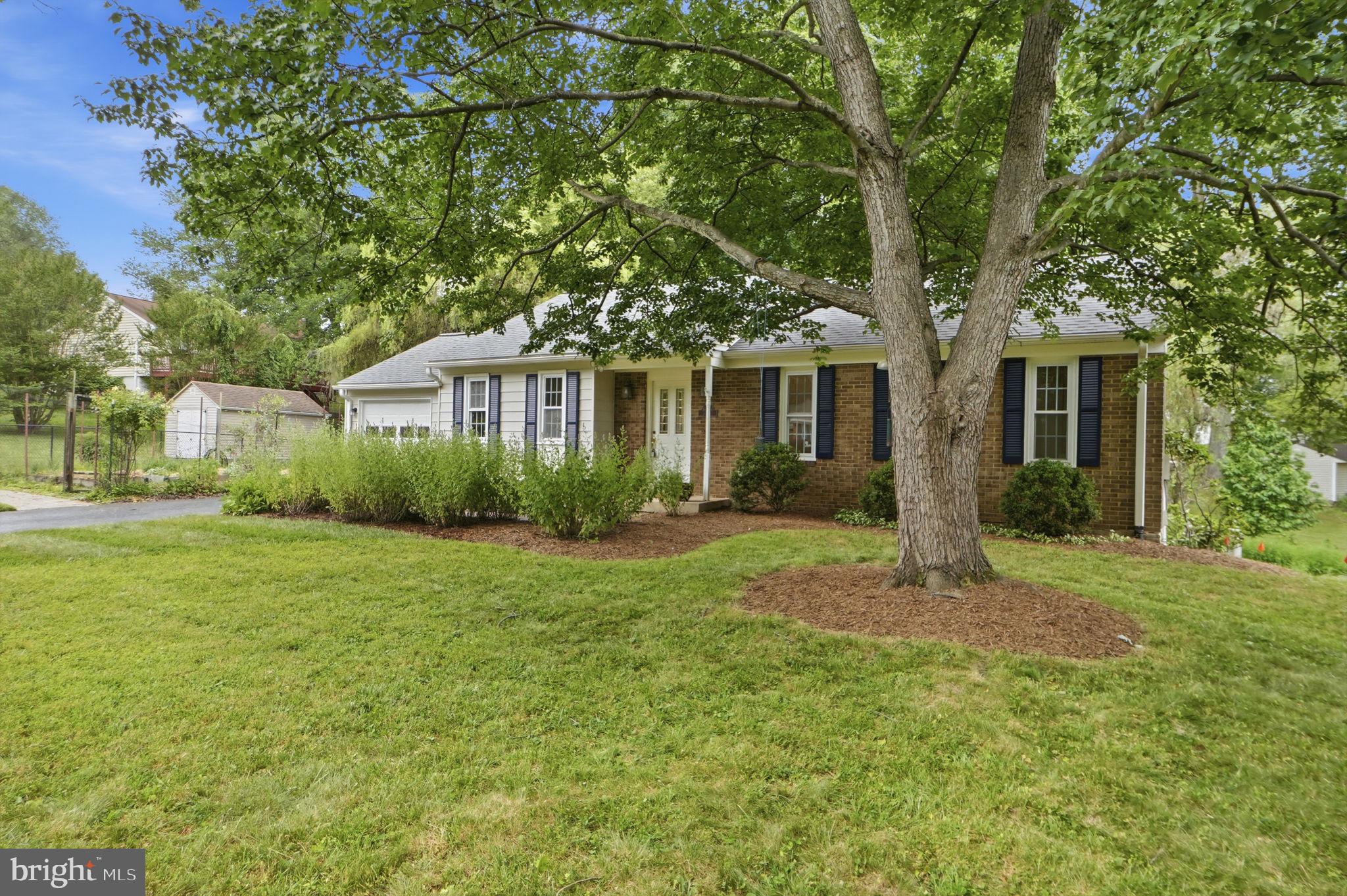 14204 Piccadilly Road Silver Spring, MD 20906 - Photo 2 of 42 Professionally Landscaped Yard