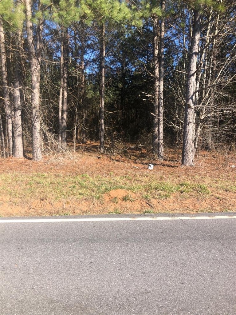 4007 Flat Rock Road Iva, SC 29655 - Photo 3 of 5