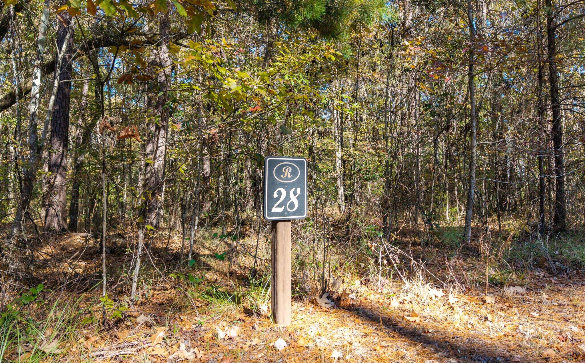 28 Buttonbush_d_Lowcountry_Exposure-27