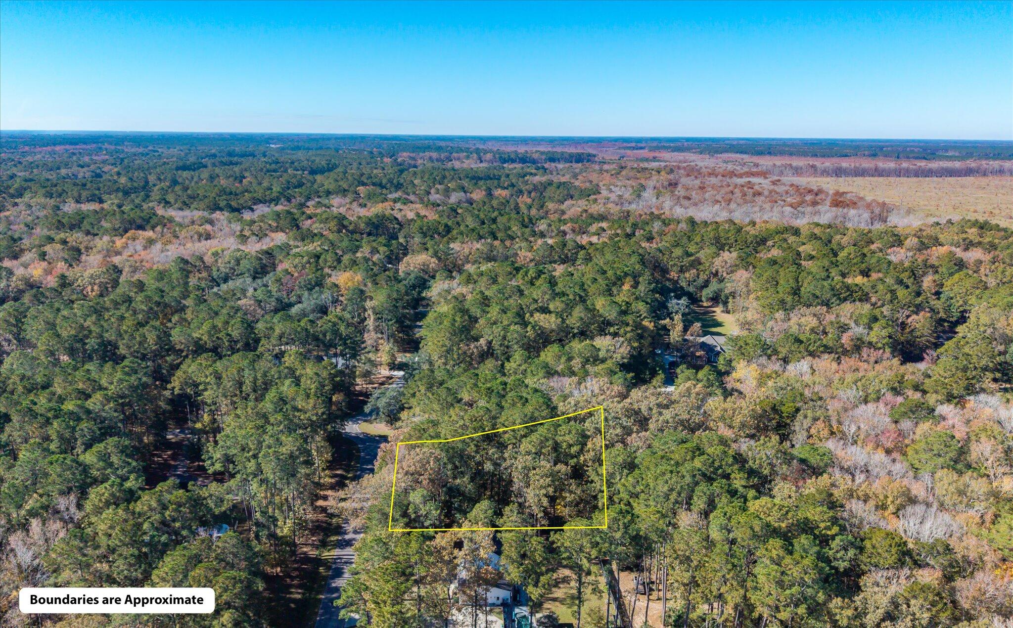 28 Buttonbush Drive Ravenel, SC 29470 - Photo 11 of 15 28 Buttonbush_d_Lowcountry_Exposure-7