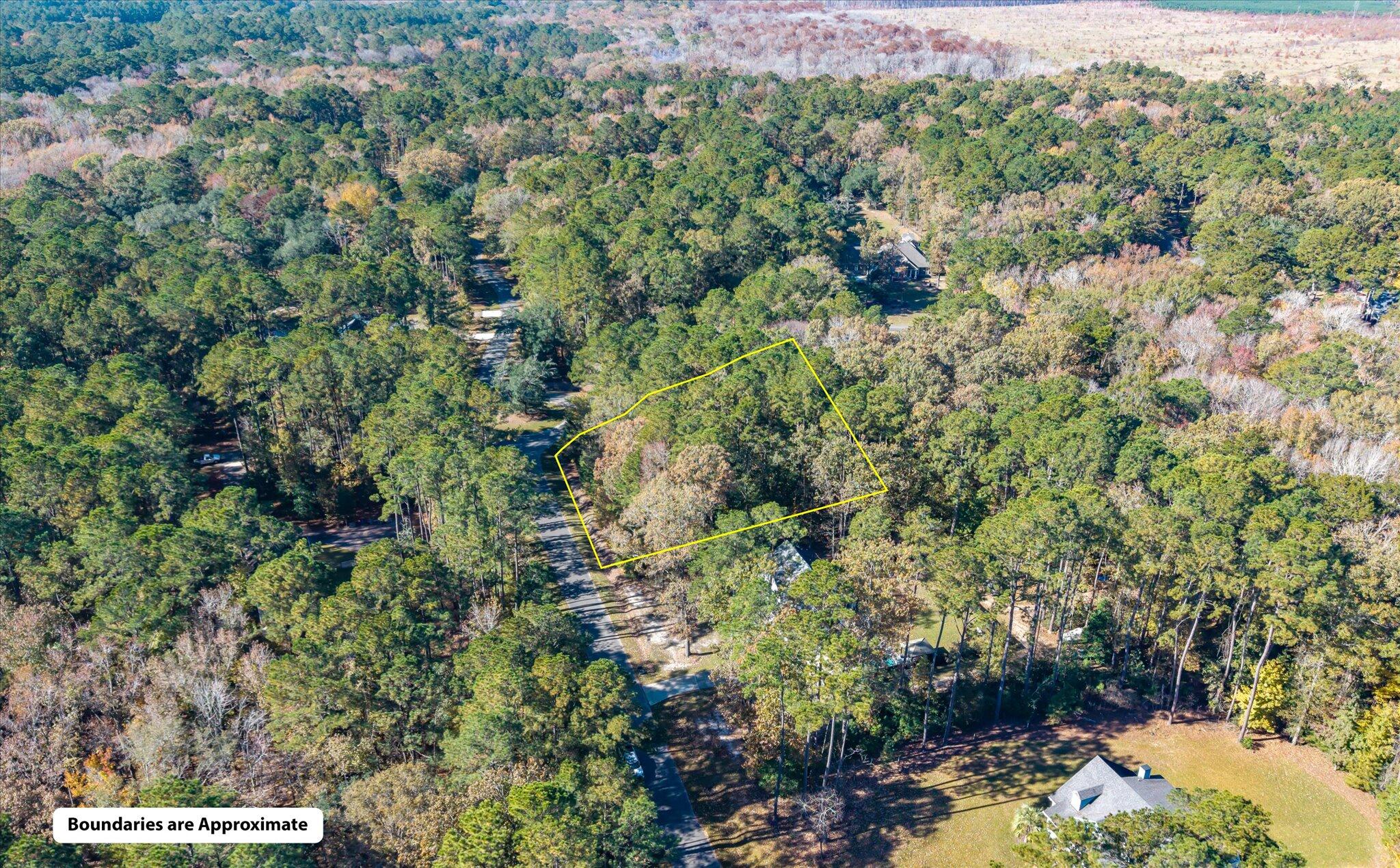 28 Buttonbush Drive Ravenel, SC 29470 - Photo 11 of 15 28 Buttonbush_d_Lowcountry_Exposure-5