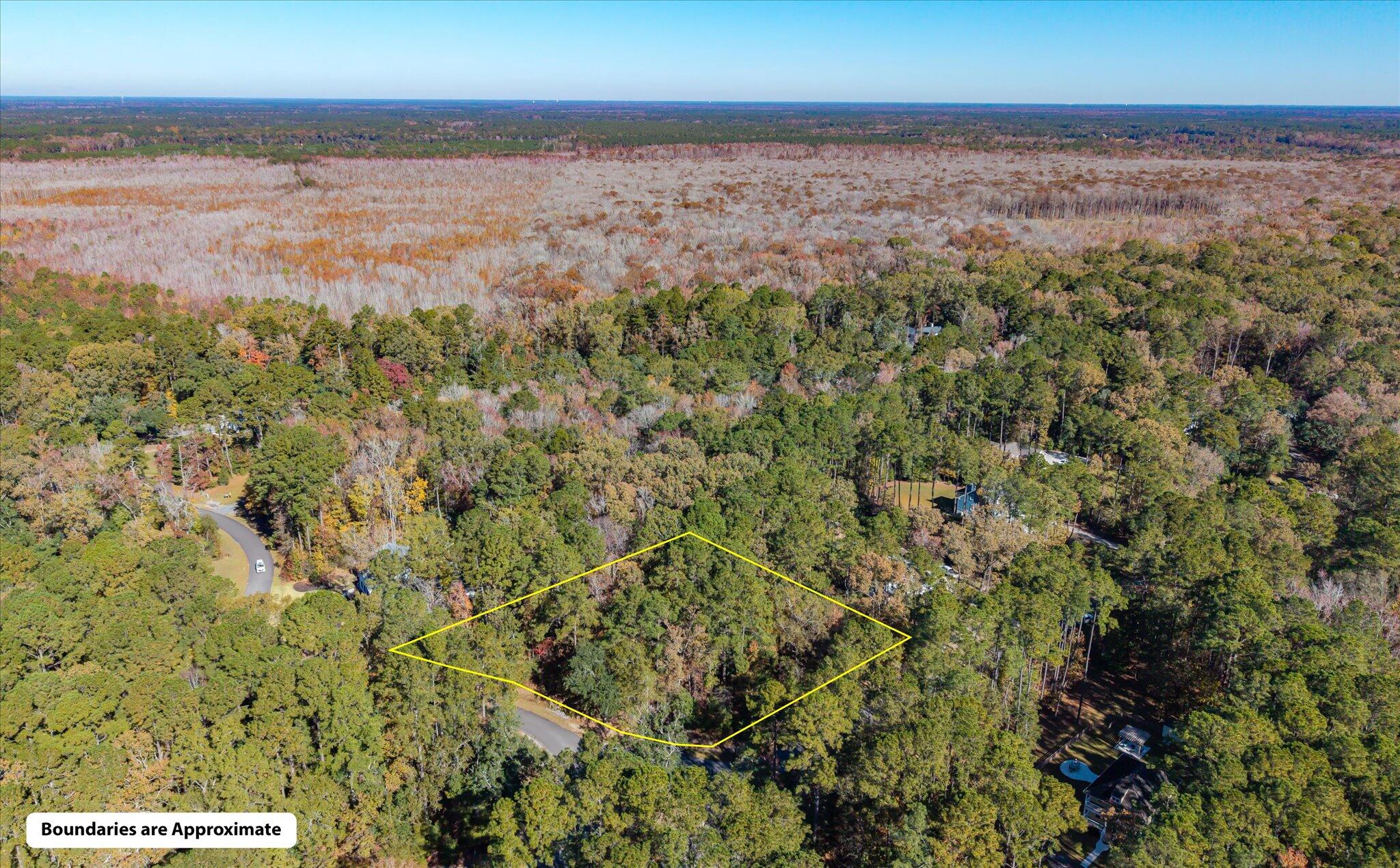 28 Buttonbush Drive Ravenel, SC 29470 - Photo 14 of 15 28 Buttonbush_d_Lowcountry_Exposure-13