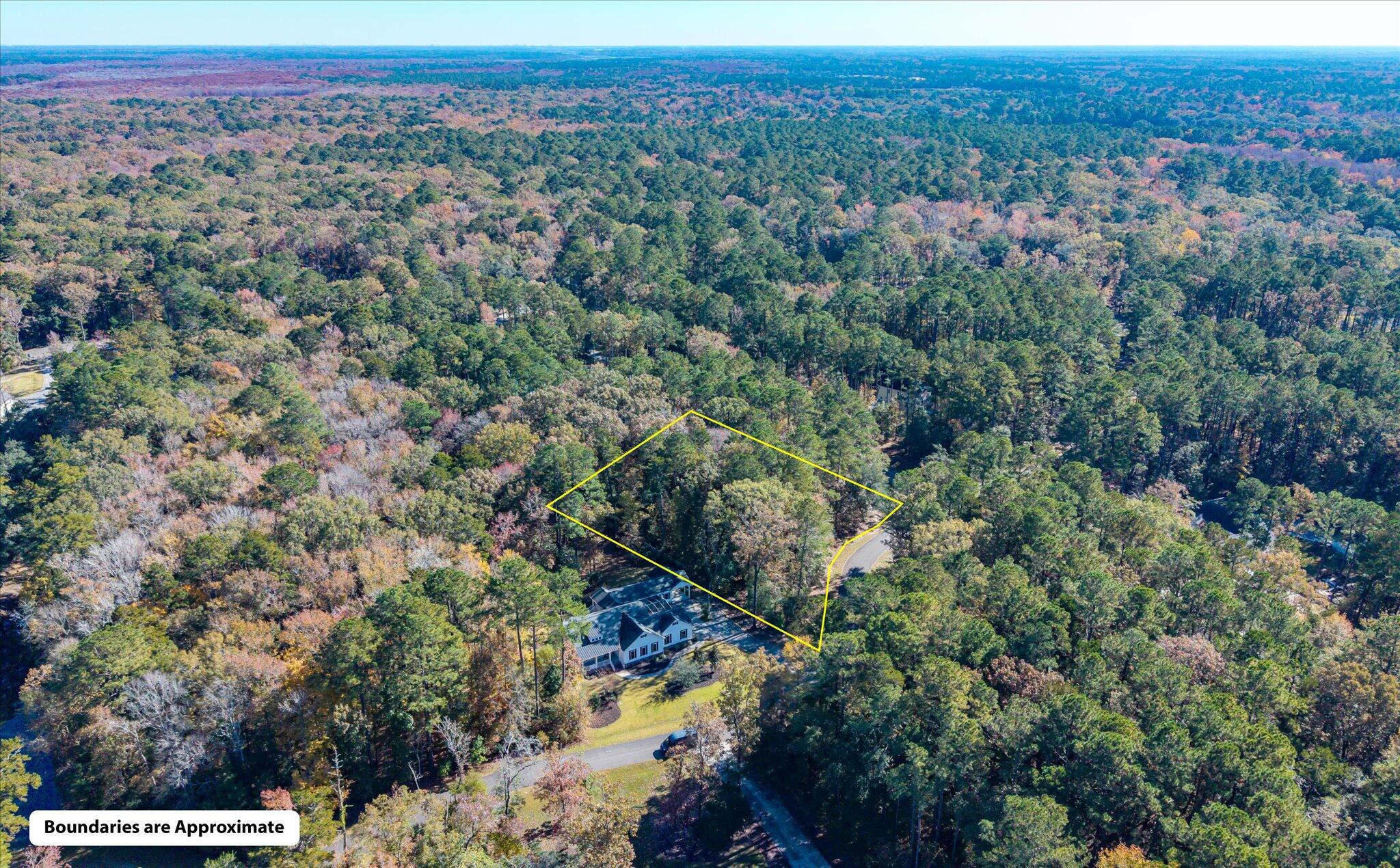 28 Buttonbush Drive Ravenel, SC 29470 - Photo 15 of 15 28 Buttonbush_d_Lowcountry_Exposure-17