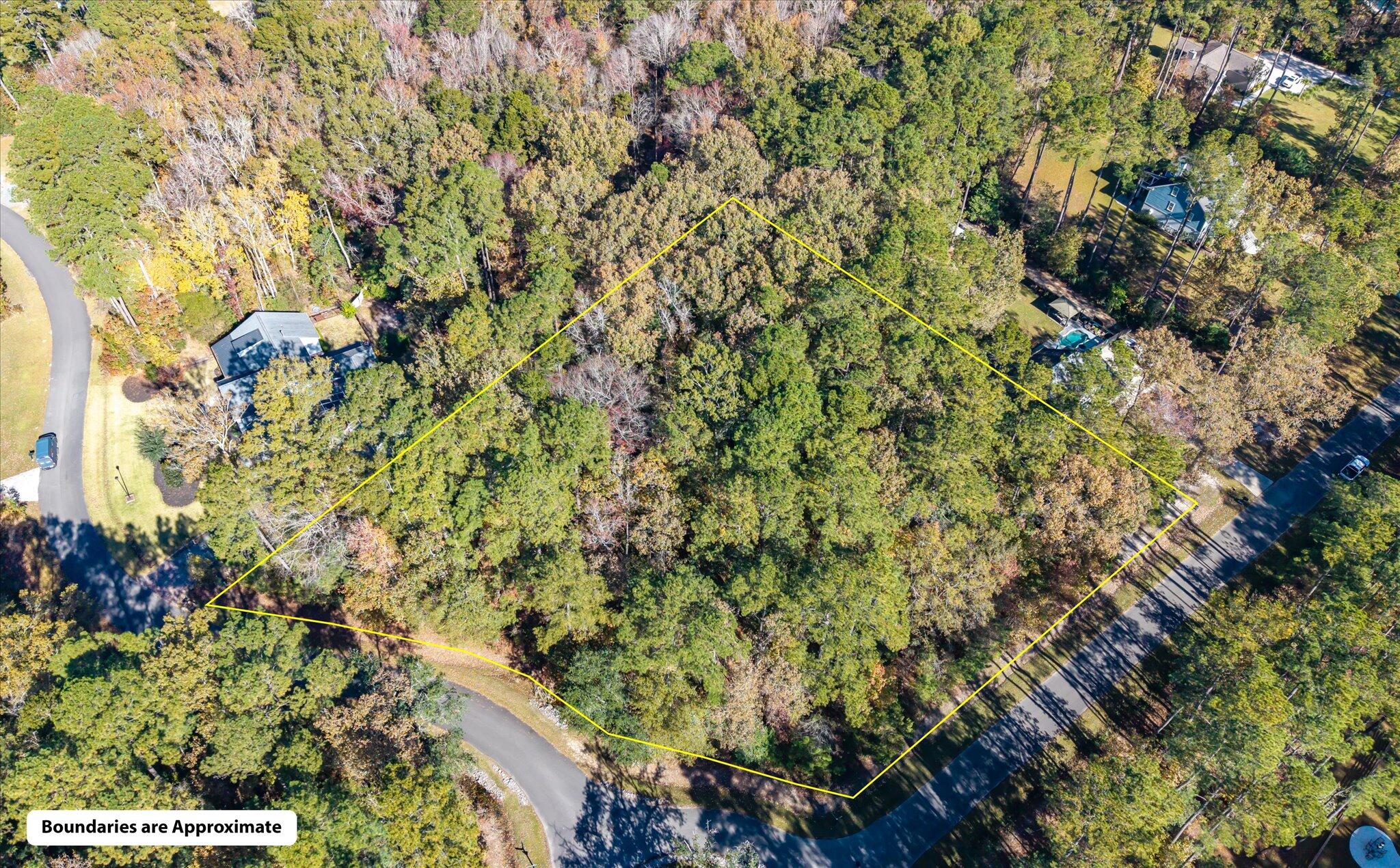 28 Buttonbush Drive Ravenel, SC 29470 - Photo 2 of 15 28 Buttonbush_d_Lowcountry_Exposure-11