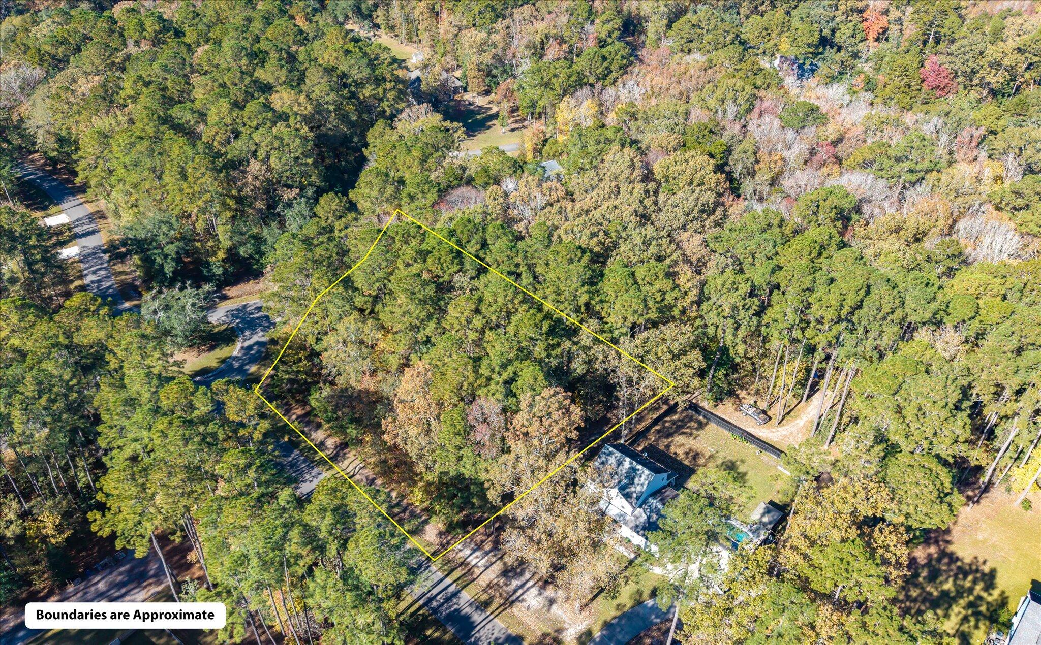 28 Buttonbush Drive Ravenel, SC 29470 - Photo 3 of 15 28 Buttonbush_d_Lowcountry_Exposure-3