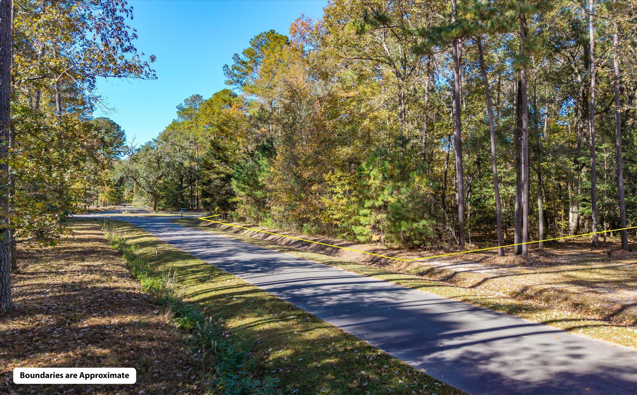 28 Buttonbush Drive Ravenel, SC 29470 - Photo 4 of 15 28 Buttonbush_d_Lowcountry_Exposure-1