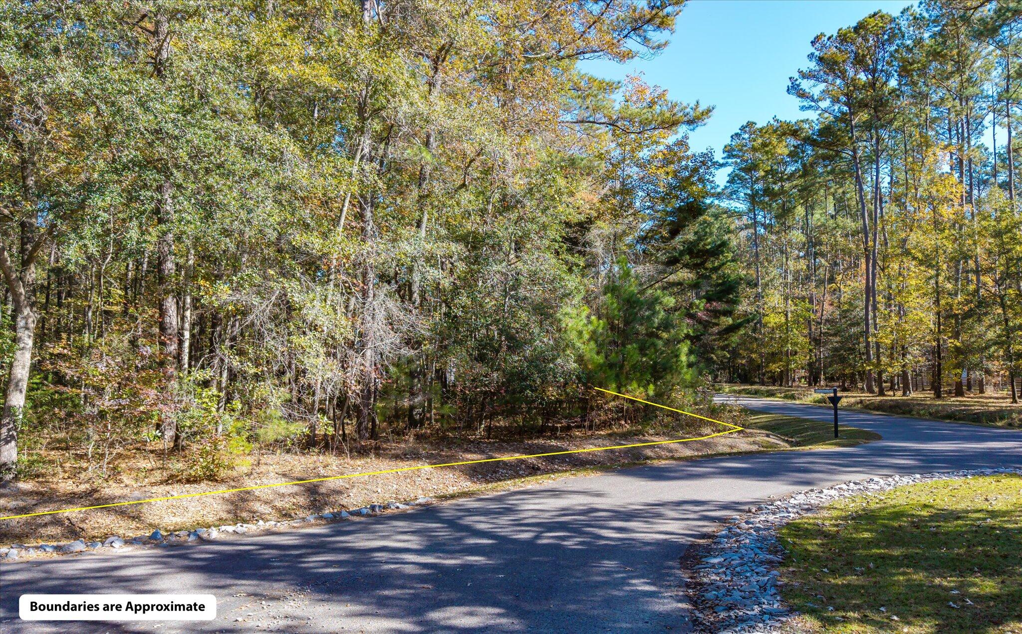 28 Buttonbush Drive Ravenel, SC 29470 - Photo 6 of 15 28 Buttonbush_d_Lowcountry_Exposure-23