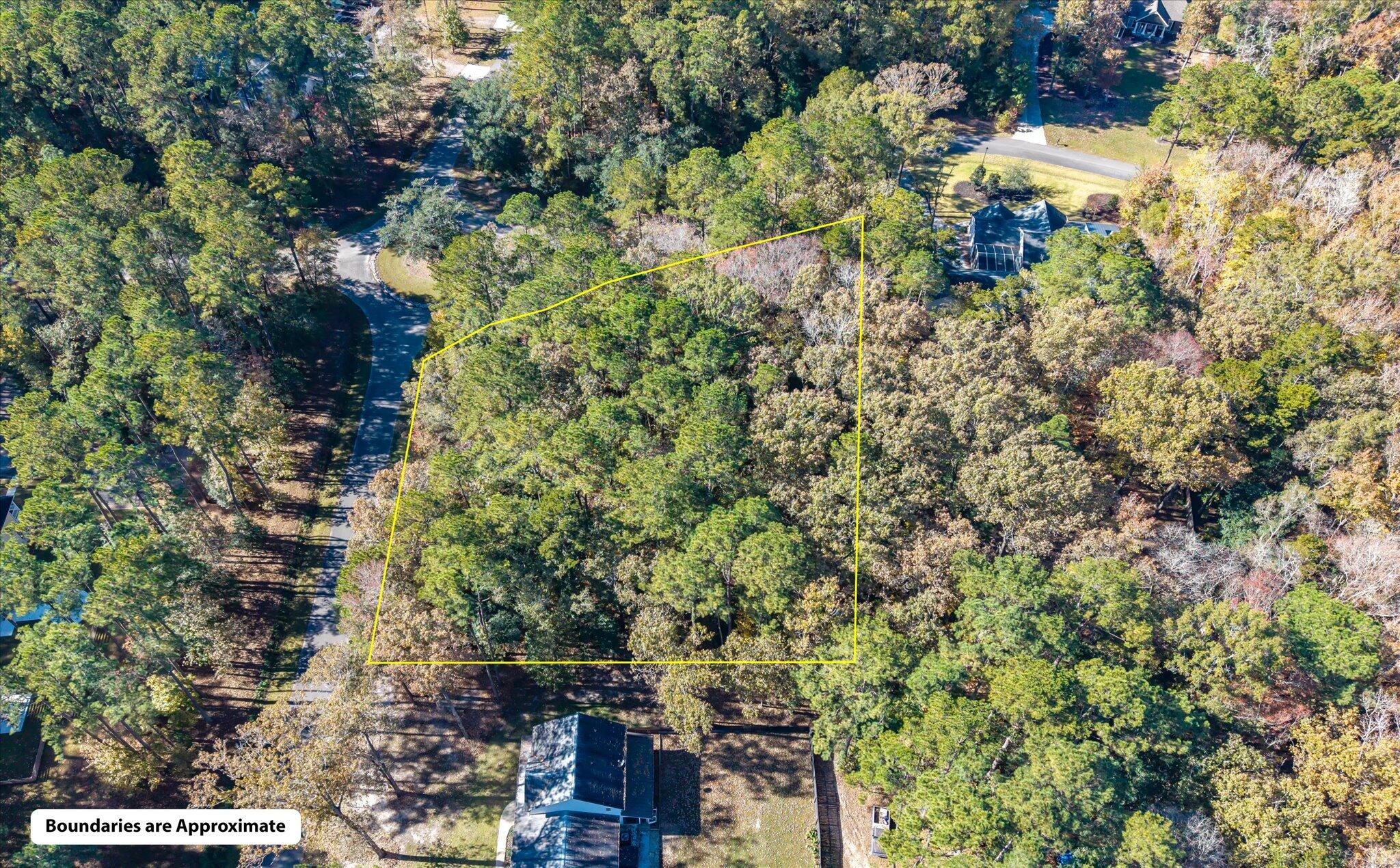 28 Buttonbush Drive Ravenel, SC 29470 - Photo 7 of 15 28 Buttonbush_d_Lowcountry_Exposure-9