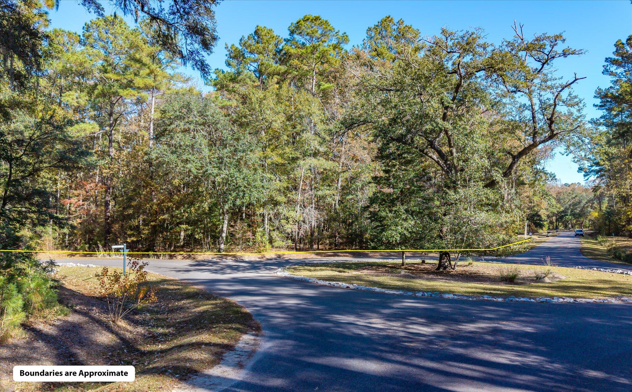 28 Buttonbush Drive Ravenel, SC 29470 - Photo 8 of 15 28 Buttonbush_d_Lowcountry_Exposure-21