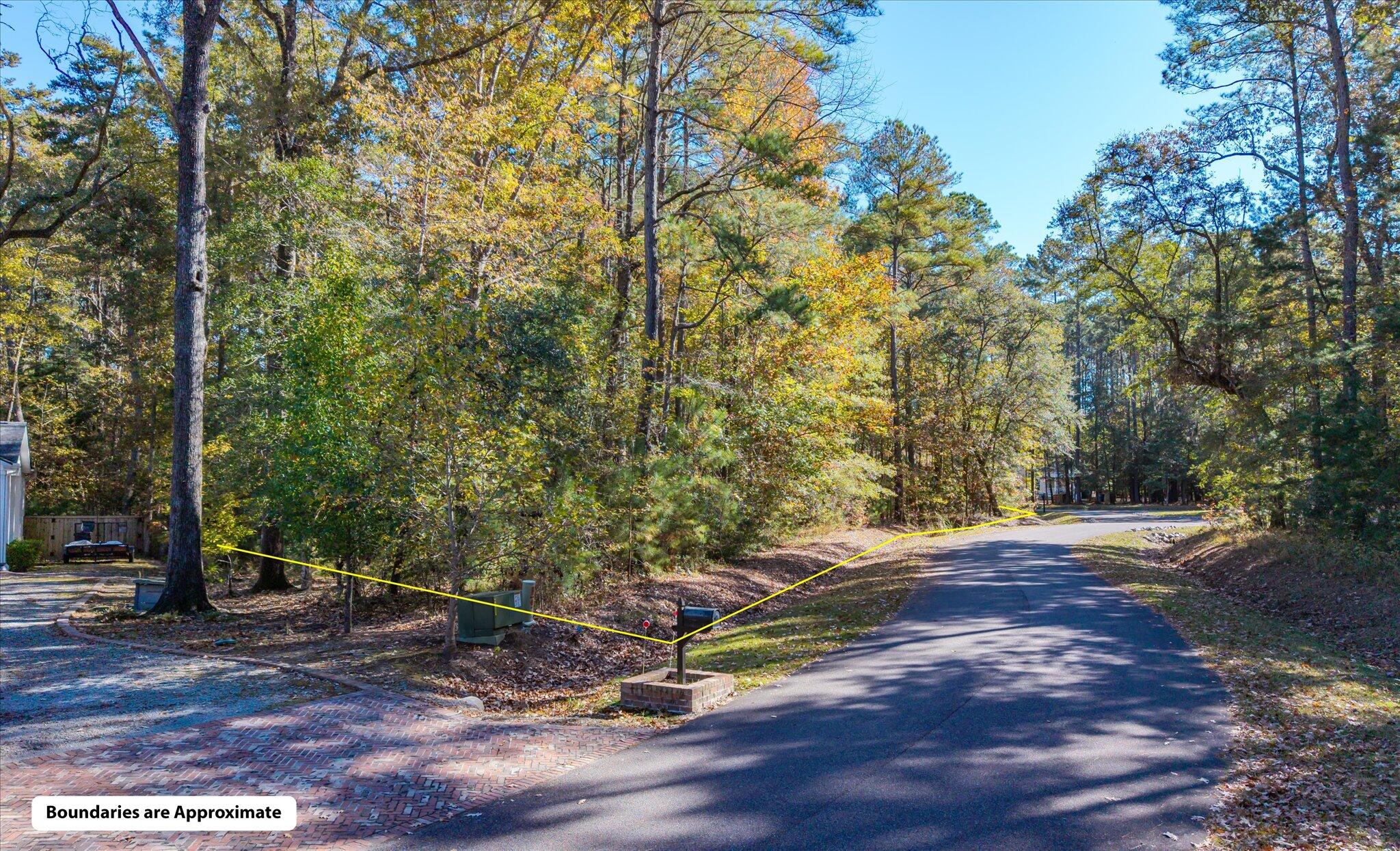 28 Buttonbush Drive Ravenel, SC 29470 - Photo 10 of 15 28 Buttonbush_d_Lowcountry_Exposure-25