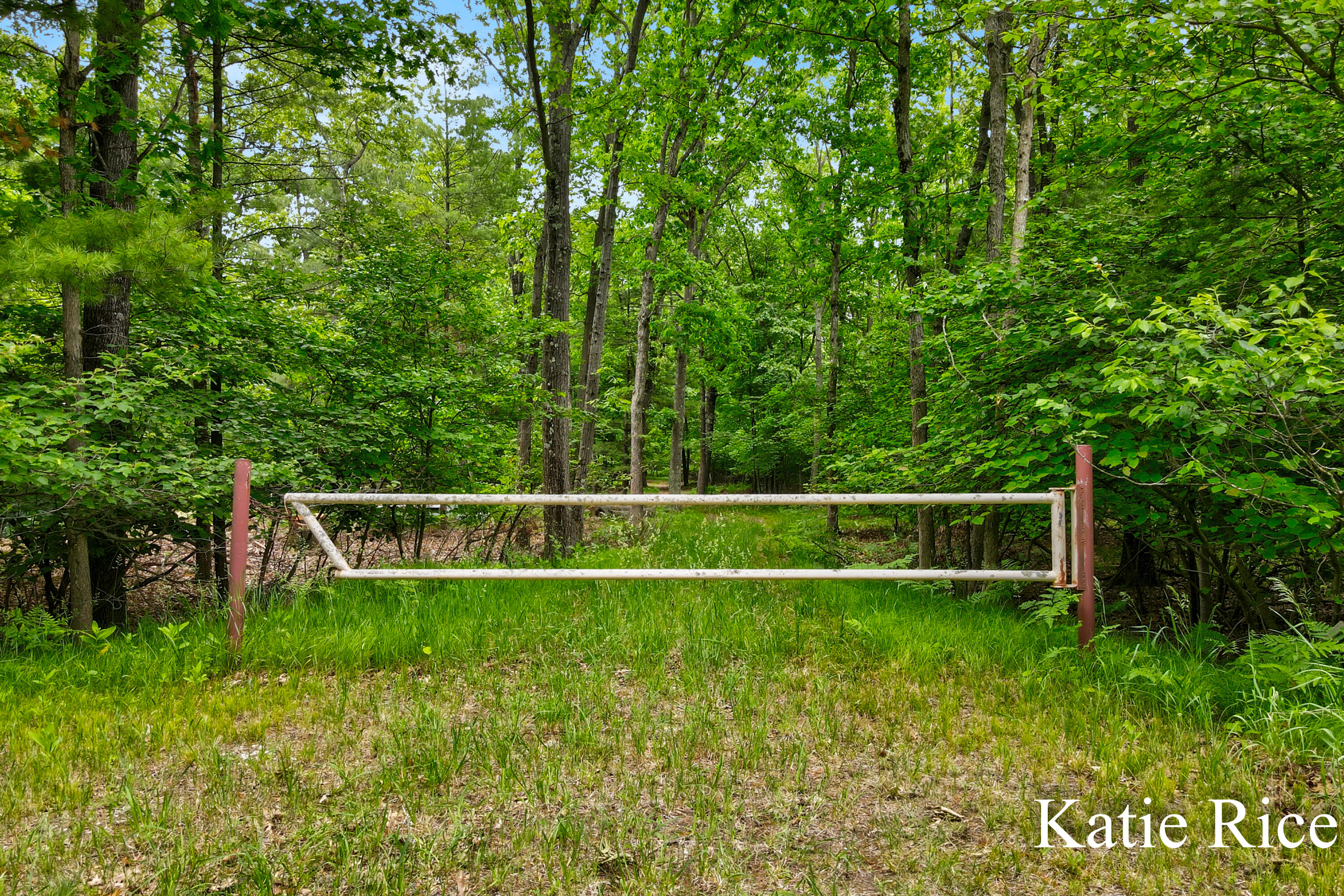 Katic Rice - Lamos Road Lot (9)-3