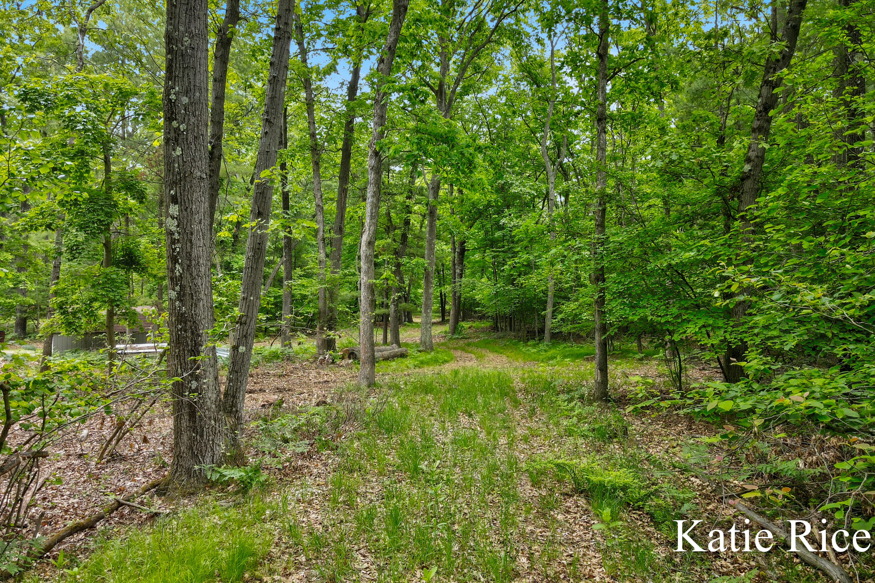 Katic Rice - Lamos Road Lot (9)-4