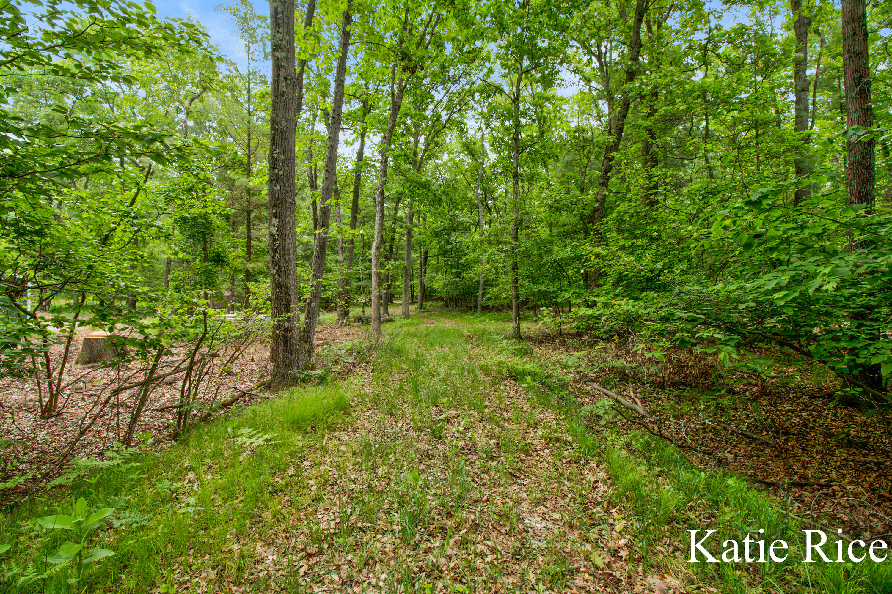 Katic Rice - Lamos Road Lot (9)-7