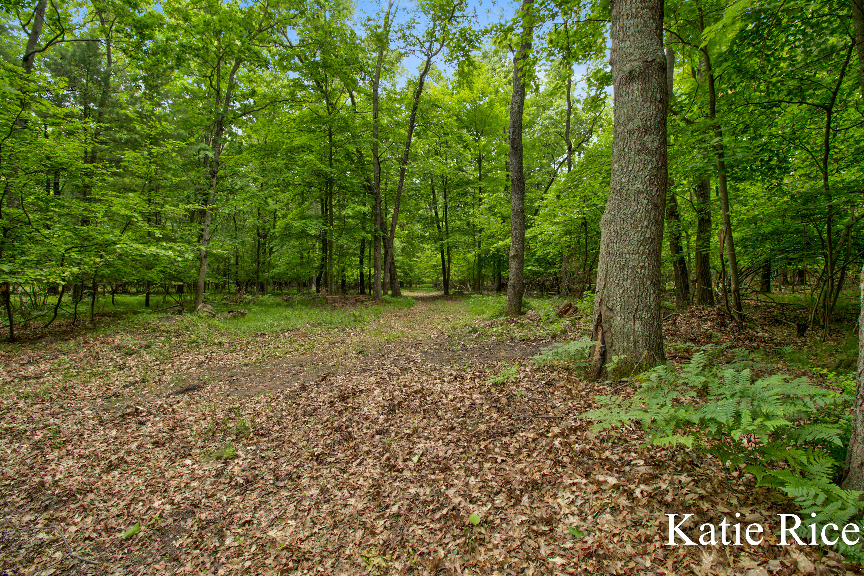 Vl Lamos Road Montague, MI 49437 - Photo 8 of 12 Katic Rice - Lamos Road Lot (9)-8