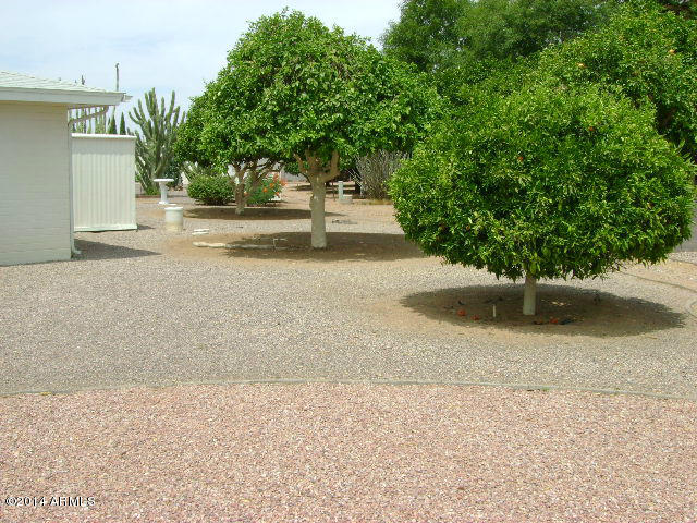 5528 East Decatur Street Mesa, AZ 85205 - Photo 6 of 27 DSC02198