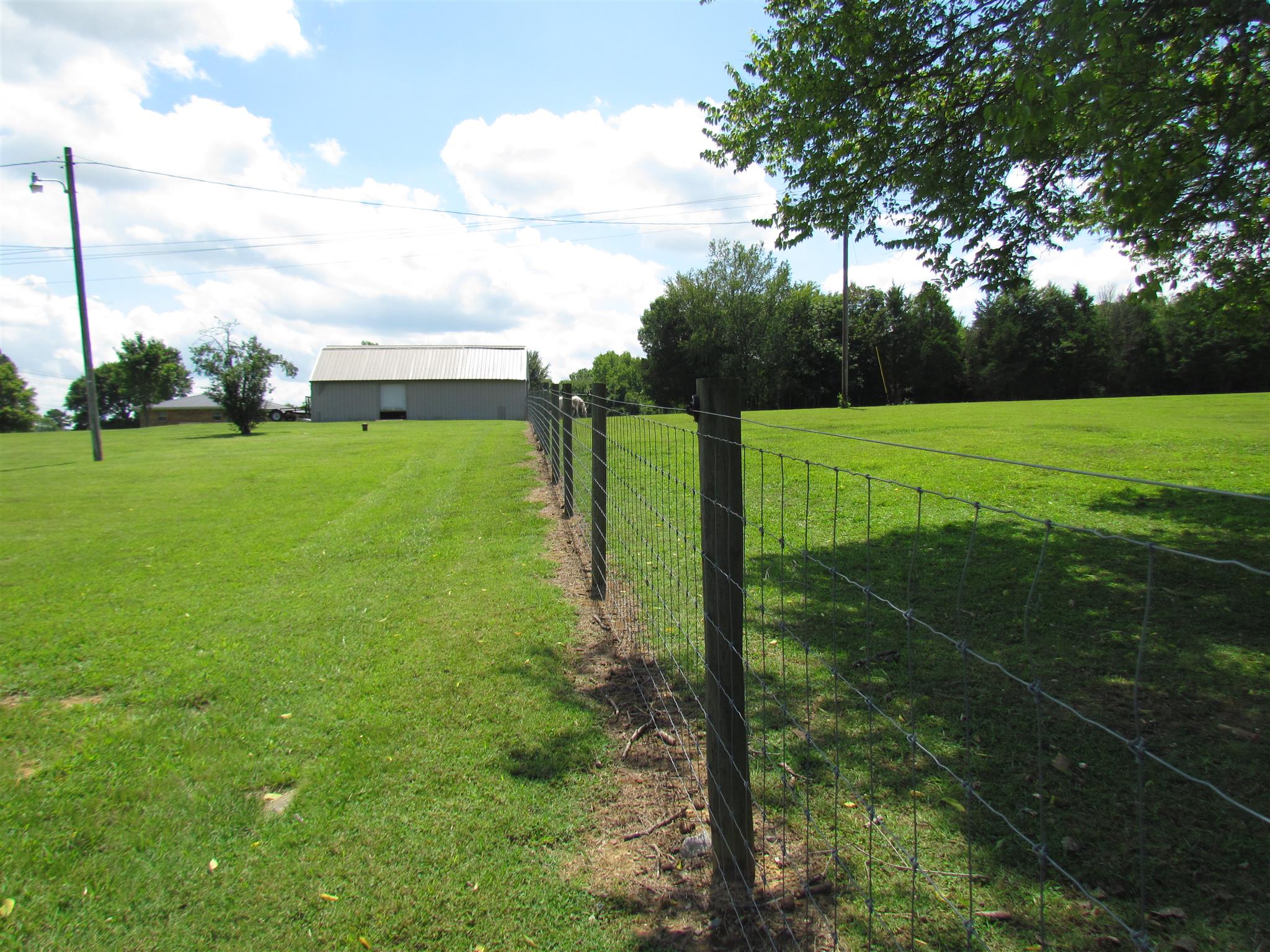 2325 Peyton Road Lebanon, TN 37087 - Photo 6 of 30 3acres of the property is fenced for animals.