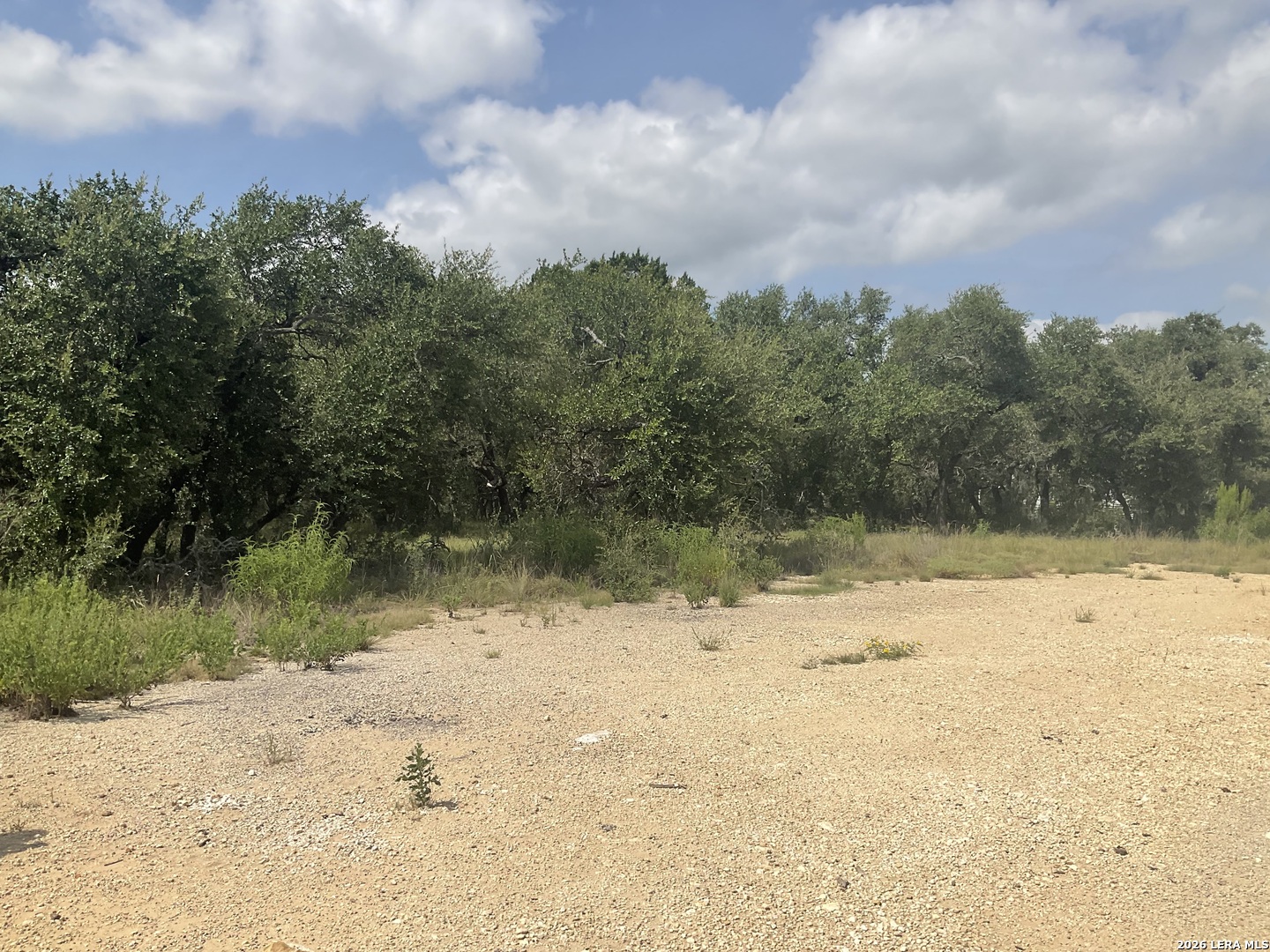 713 Johanna Ridge Road Bulverde, TX 78163 - Photo 5 of 14