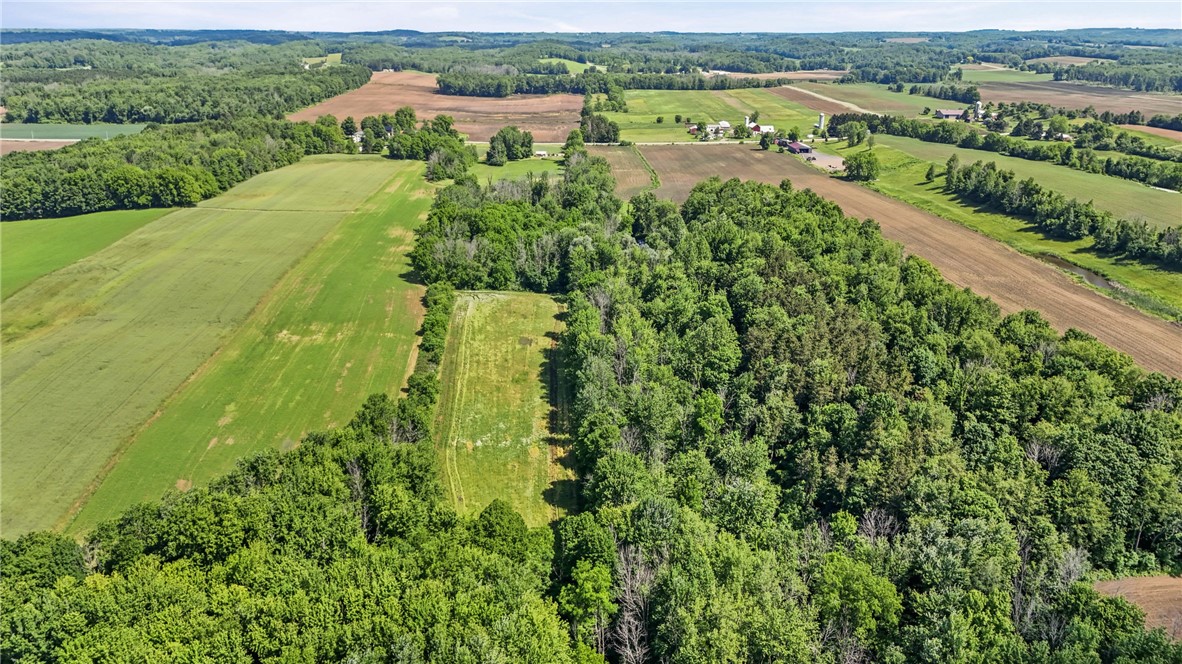4880 Skinner Road Marion, NY 14505 - Photo 18 of 19